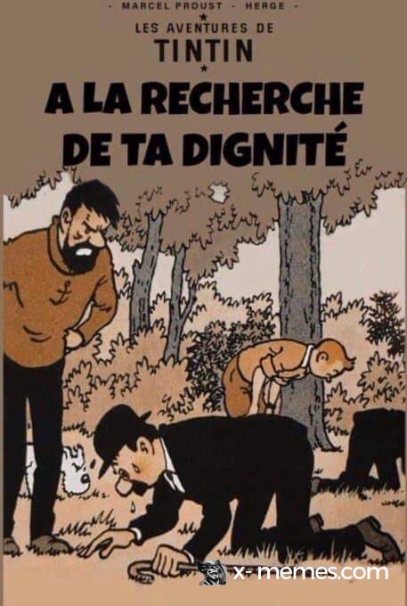 Tintin a la recherche de ta dignité