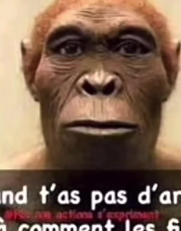 Quand t'as pas d'argent, les meufs te voient comme ça